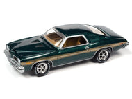 JLMC030A4 - 1973 PONTIAC LE MANS GT GREEN