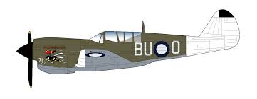 HA5505 - P-40N 'ANGRY BEE' BU-O FLOWN BY LT. KEN GOLDRING 80 SQUADRON RAAF NOV 1944